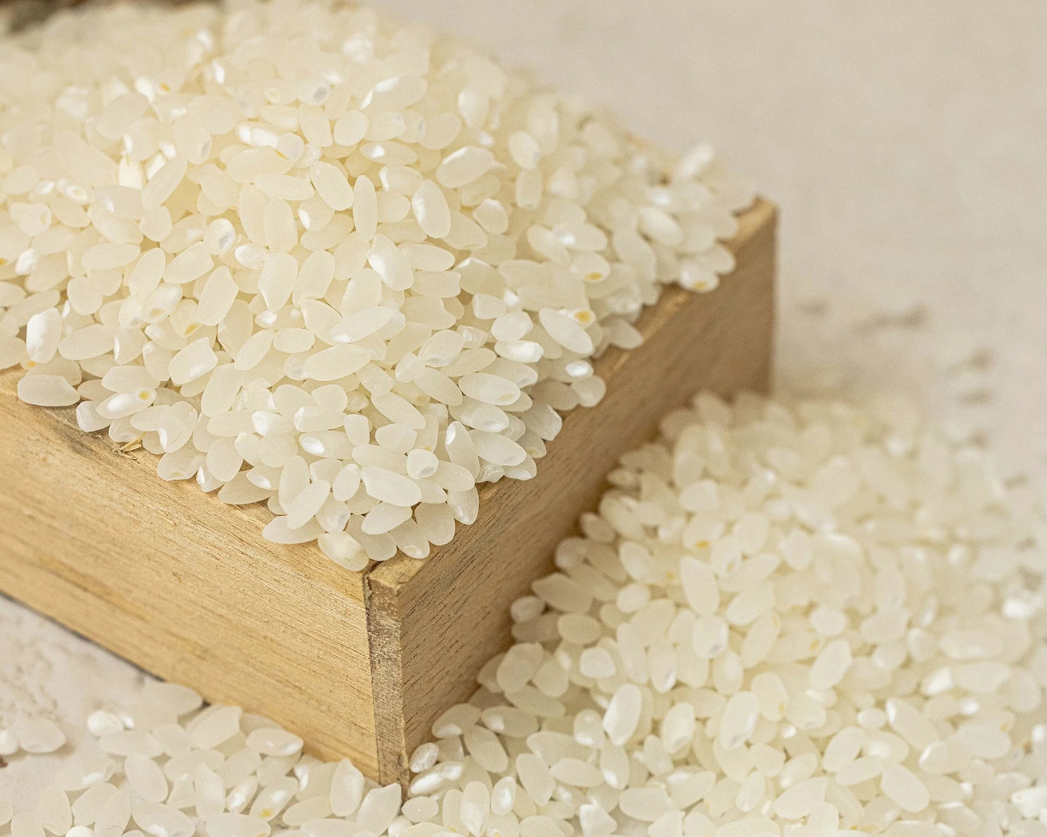 Beauty of Joseon Dynasty Cream 50ml